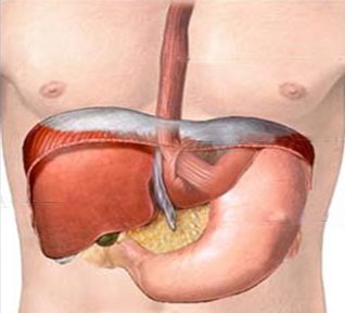 Laparoscopic hiatus hernia repair surgery diagram